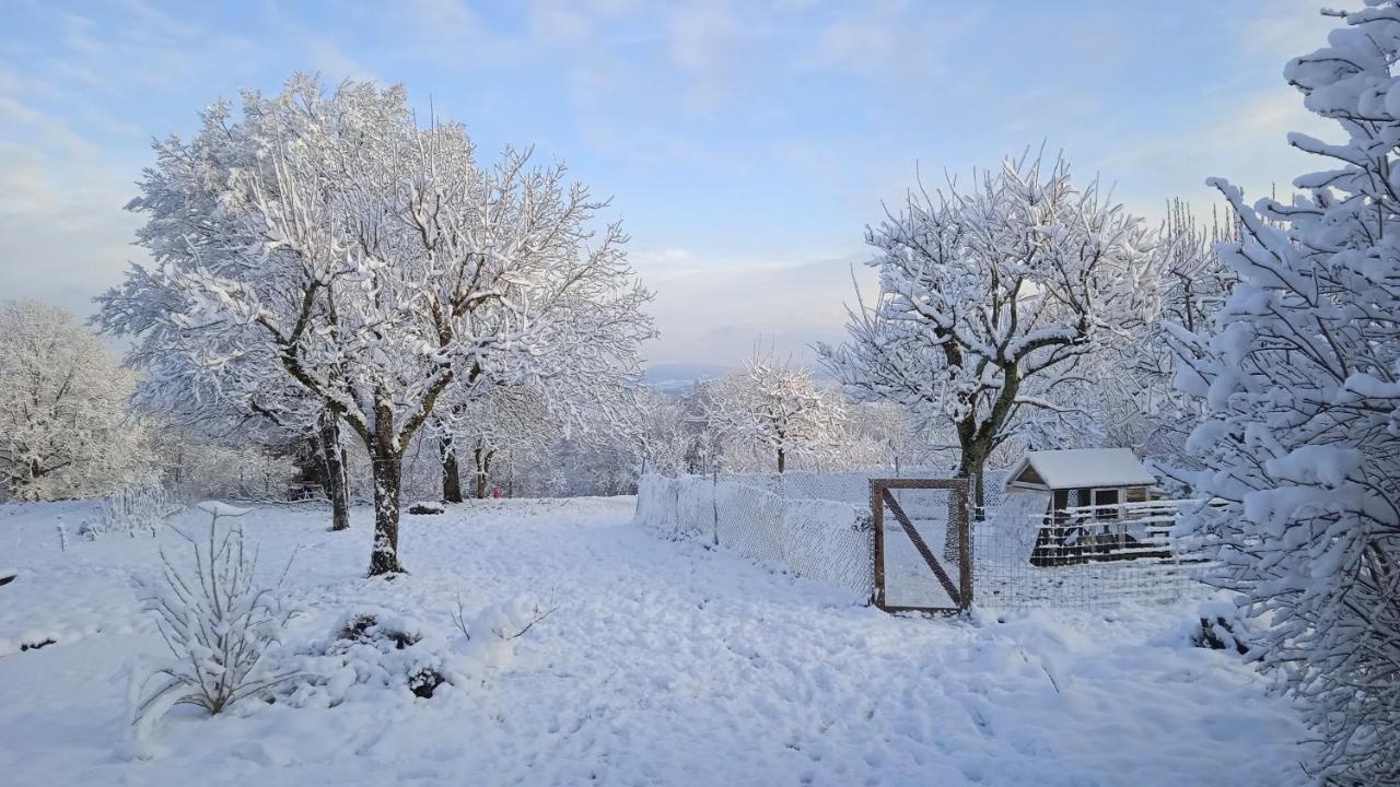 Les Jardins Des 3 Provinces- Gite Montcharvot Экстерьер фото